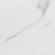 Massa Calacatta Waterline 6x6 Porcelain  Tile