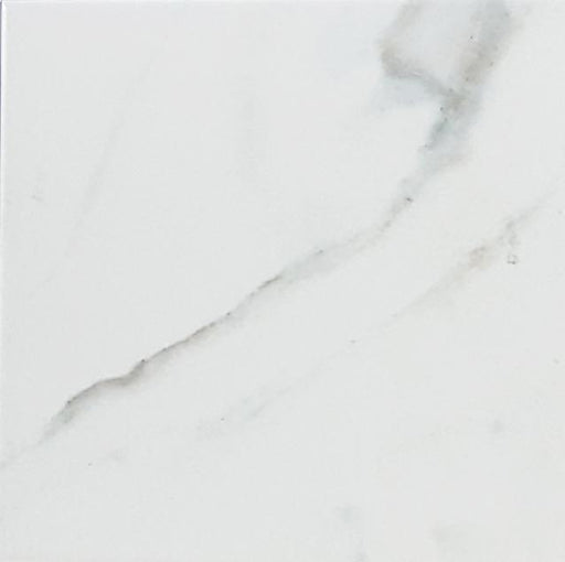 Massa Calacatta Waterline 6x6 Porcelain  Tile