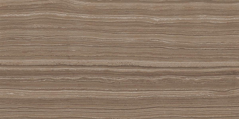 Matrix Taupe Blend Honed 12x24 Porcelain  Tile