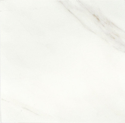 Mirasol Bianco Carrara Matte 24x24 Porcelain  Tile