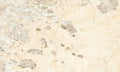 Natural Golden Matte 18x30 Porcelain  Tile