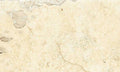 Natural Golden Matte 18x30 Porcelain  Tile