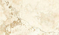 Natural Golden Matte 18x30 Porcelain  Tile
