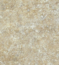 Noce Travertine Paver 8x8 Tumbled   1.25 inch