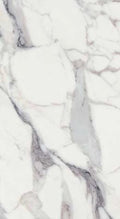 Origines Argent Matte 12x24 Porcelain  Tile