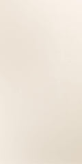 Pearl Super White Matte 12x24 Porcelain  Tile