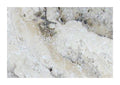 Philadelphia Travertine Tile 16x24 Tumbled