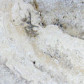 Philadelphia Travertine Tile 4x4 Tumbled