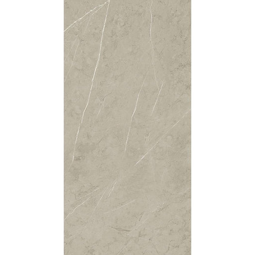 Piasentina Silver Unpolished 24x48 Porcelain  Tile
