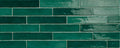 Piastrella Olive Glossy 1/2x12 Ceramic Pencil Bullnose