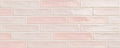 Piastrella Rose Glossy 2x10 Ceramic  Tile