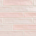 Piastrella Rose Glossy 2x10 Ceramic  Tile
