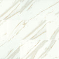 Pietra Calacatta Matte 12x24 Porcelain  Tile
