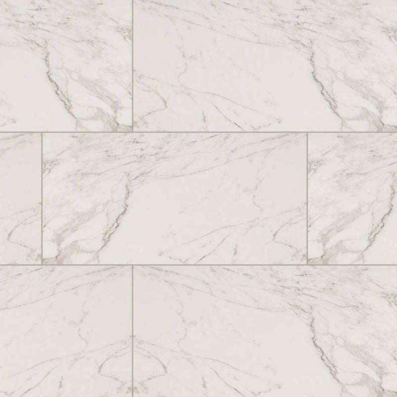 Pietra Carrara Polished 12x24 Porcelain  Tile