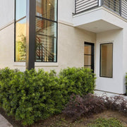 Pietra Italia Beige Matte 12x24 Porcelain  Tile