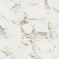 Pietra Statuario Polished 12x24 Porcelain  Tile