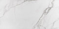 Place Polished 24x48 Porcelain  Tile
