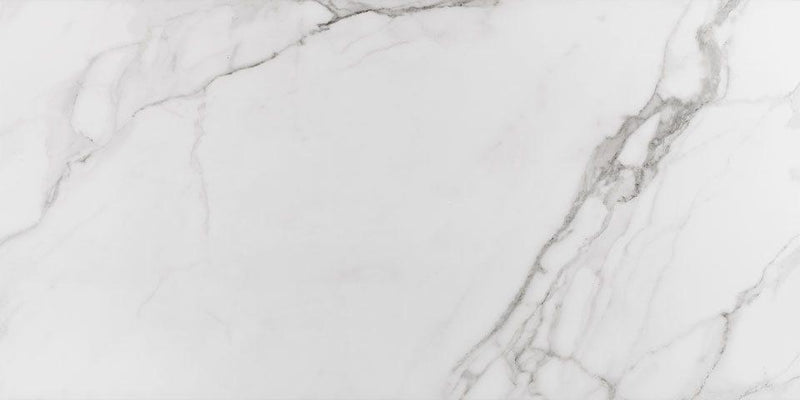 Place Polished 24x48 Porcelain  Tile