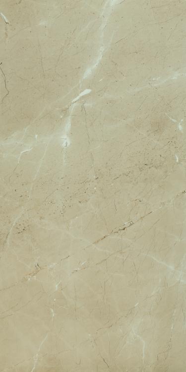 Prestigio Arcadia Lucido Polished 12x24 Porcelain  Tile