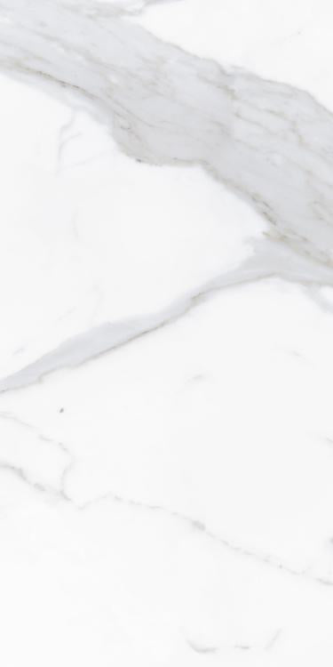 Prestigio Calacatta Lucido Polished 12x24 Porcelain  Tile