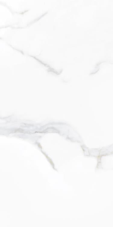 Prestigio Calacatta Soft Matte 12x24 Porcelain  Tile