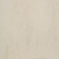 Pro Nude Polished 24x24 Porcelain  Tile