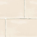 Quater Ecru Glossy 3x6 Ceramic  Tile