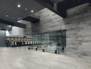 Raw Light Matte 30x60 Porcelain  Tile