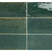 Remedy Herbal Glossy 3x9 Porcelain  Tile
