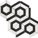 Rockart Black White Hexagon Polished Marble  Mosaic