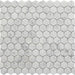 Rockart Carrara 1x1 Hexagon Polished Marble  Mosaic
