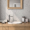 Rockart Carrara Pennyround Polished Mixed  Mosaic