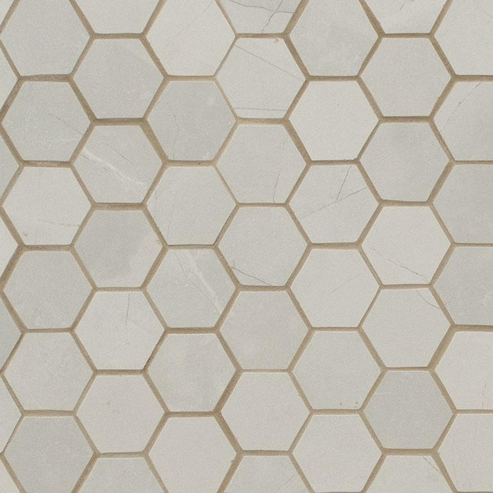 Sande Ivory 2x2 Hexagon Matte Porcelain  Mosaic