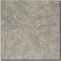 Seagrass Limestone Tile 12x12 Honed