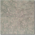Seagrass Limestone Tile 12x12 Honed