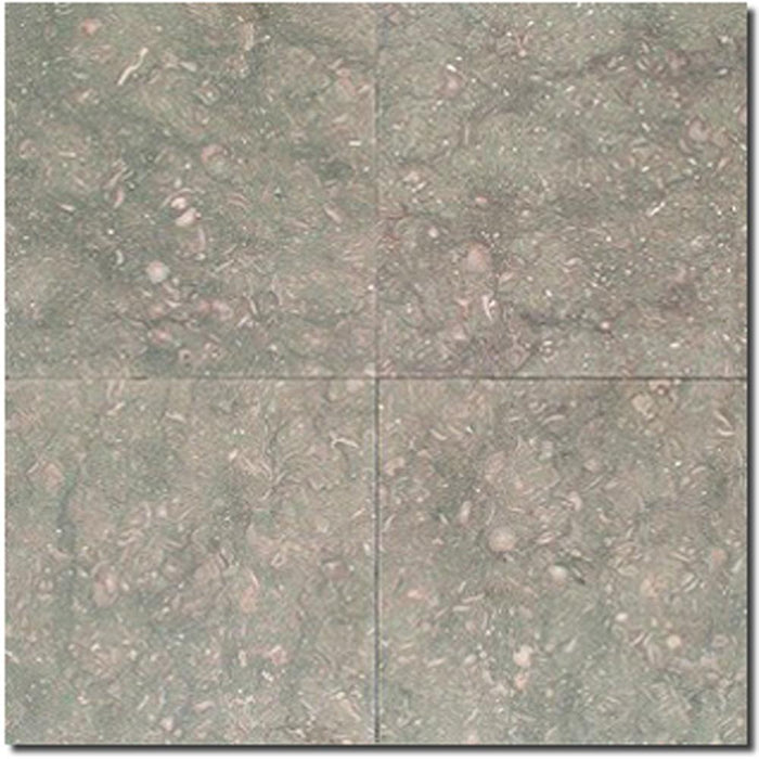 Seagrass Limestone Tile 12x12 Honed