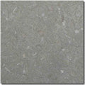 Seagrass Limestone Tile 16x16 Honed