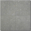 Seagrass Limestone Tile 16x16 Honed