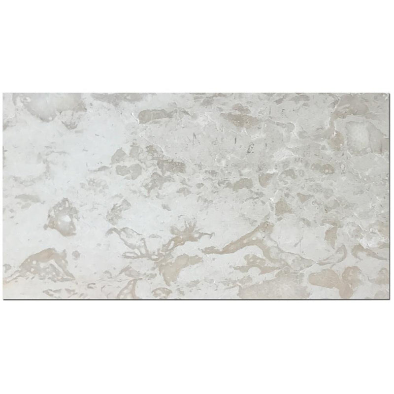 Shell Stone Limestone Tile 18x36 Brushed