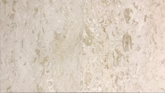 Shell Stone Limestone Tile 24x24 Brushed