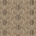 Shibusa Tortora 9x11 Porcelain  Tile