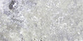 Silver Travertine Coping 12x24 Filled, Honed Bullnose  2 inch