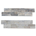 Silver Travertine Ledger Panel 6x24 Splitface