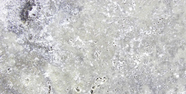 Silver Travertine Paver 12x24 Tumbled   2 inch