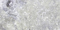 Silver Travertine Paver 12x24 Unfilled, Honed   2 inch
