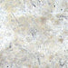 Silver Travertine Tile 12x24 Filled, Honed