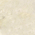 Sonoran Pearl Marble Coping 12x24 Tumbled Bullnose  1.25 inch