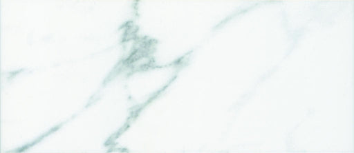 Statuary Wall Glossy 3x10 Ceramic Surface Bullnose