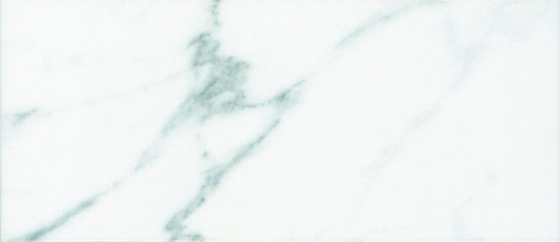 Statuary Wall Glossy 3x6 Ceramic Surface Bullnose