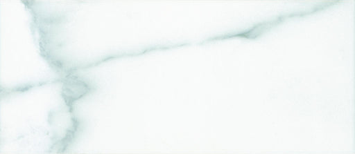 Statuary Wall Matte 3x10 Ceramic Surface Bullnose